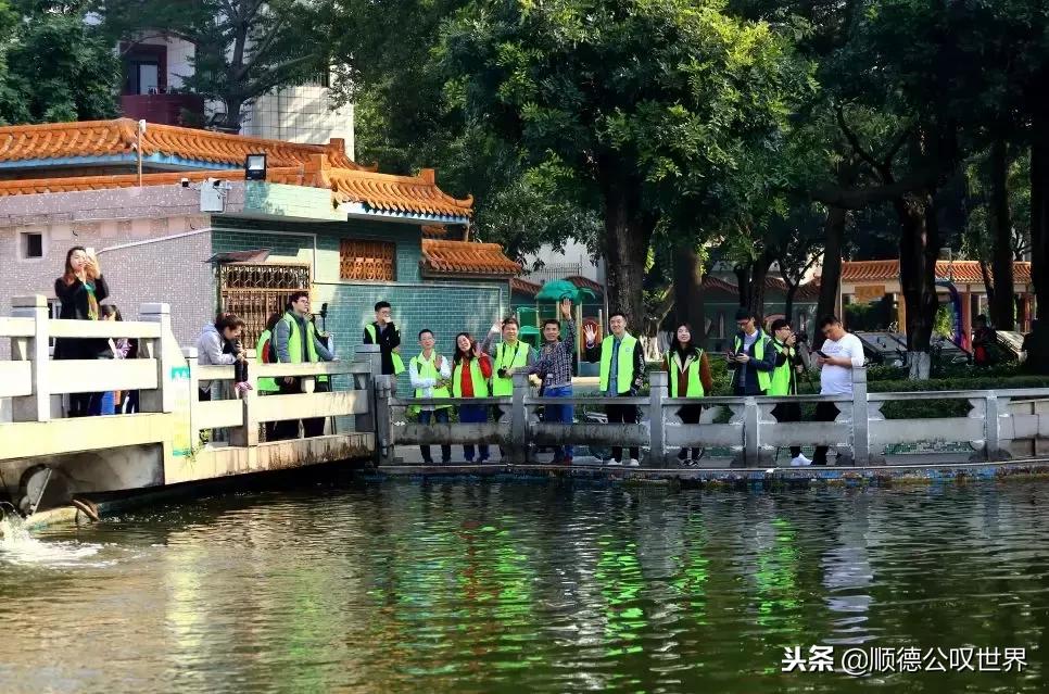 打卡顺德容桂海尾社区，你的家乡美成这样……