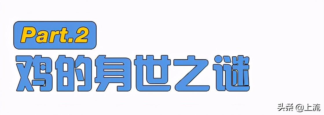 这个辣鸡,才是浙江人心里yyds