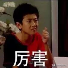 国产爱马仕杜鹃,国产爱马仕和国外爱马仕