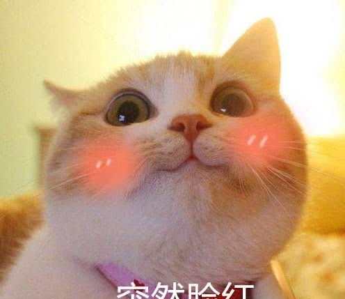 素颜霜普通人真实测评,十几块钱素颜霜真的好用吗