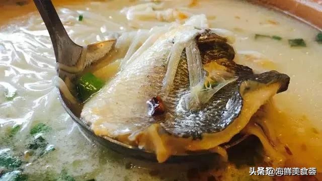 曾是四大海产之一,靠叫声互相识别,却被人类用噪声团灭