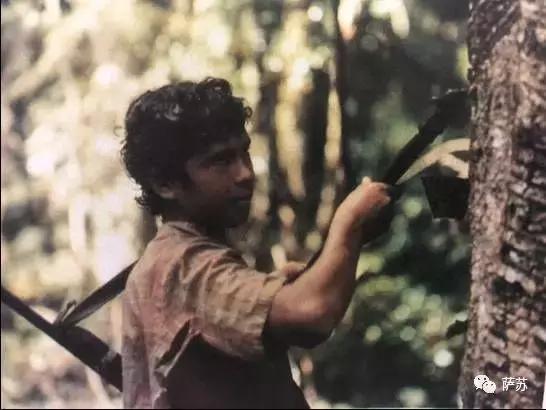 巴西热带雨林神秘部落,巴西发现亚马逊森林原始人