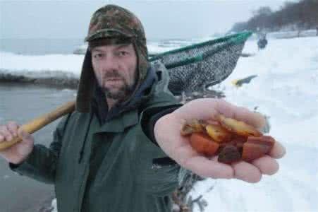 海边捡瓶子赚钱,国外捡蜜蜡