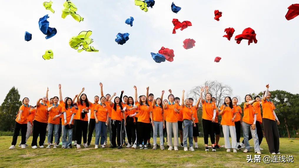 理想连线工程技术集团有限公司,理想连线是做什么