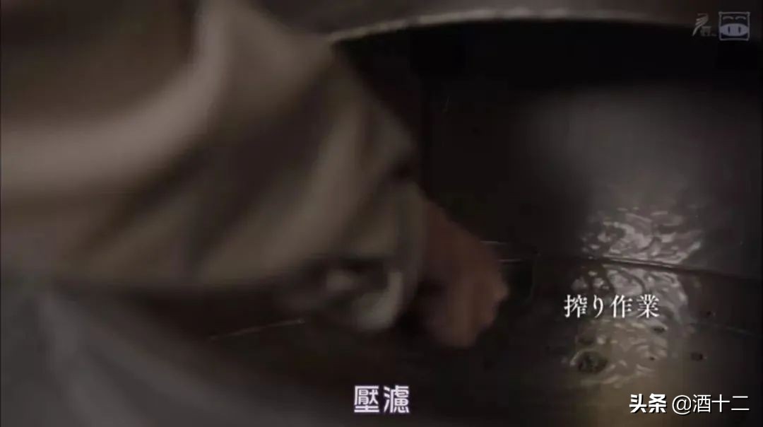 8亿天后FBB隔离期不戴口罩，跑日本舍命囤它？