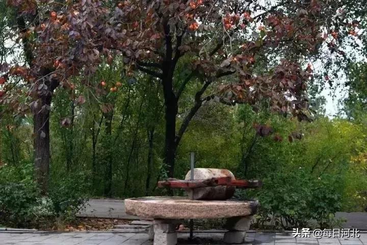 閲庣敓婧愬害鍋囨潙,閲庣敓鍘熷害鍋囨潙寰掓