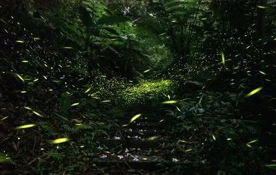 关于春天的古诗词美篇,让人惊艳的春天古诗词