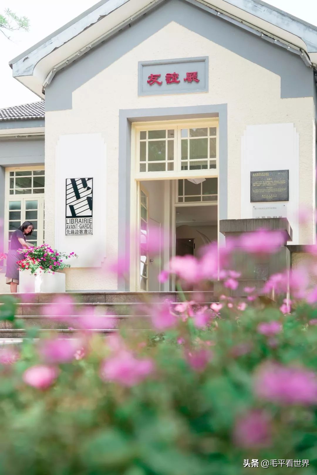 你眼中的南京是什么样子,你眼中的南京