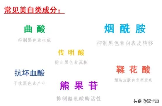 全部皮肤知识大全,四张图让你明白你是什么皮肤