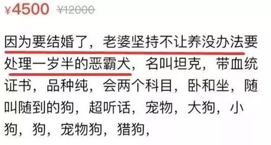 老公偷偷在网站上做这种交易，看完又气又好笑