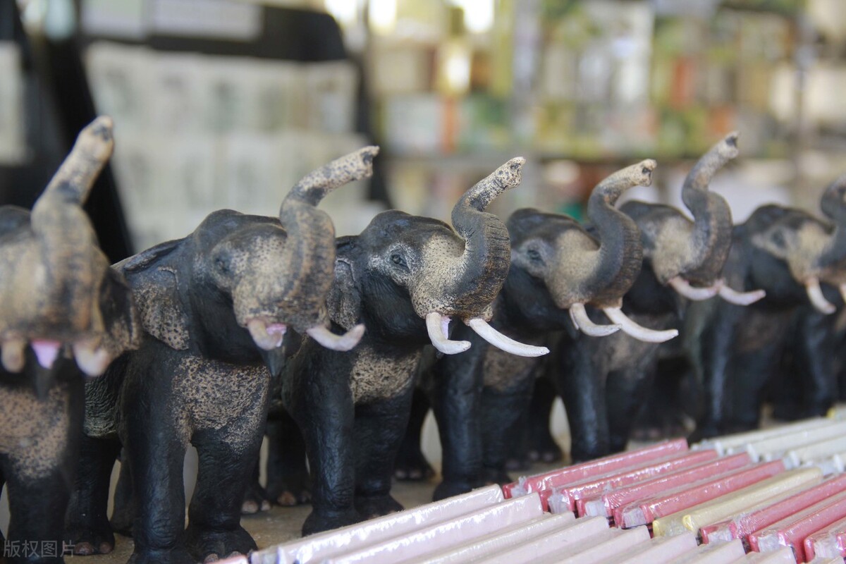 大象鼻子为什么不怕水淋,为什么大象鼻子不容易呛水