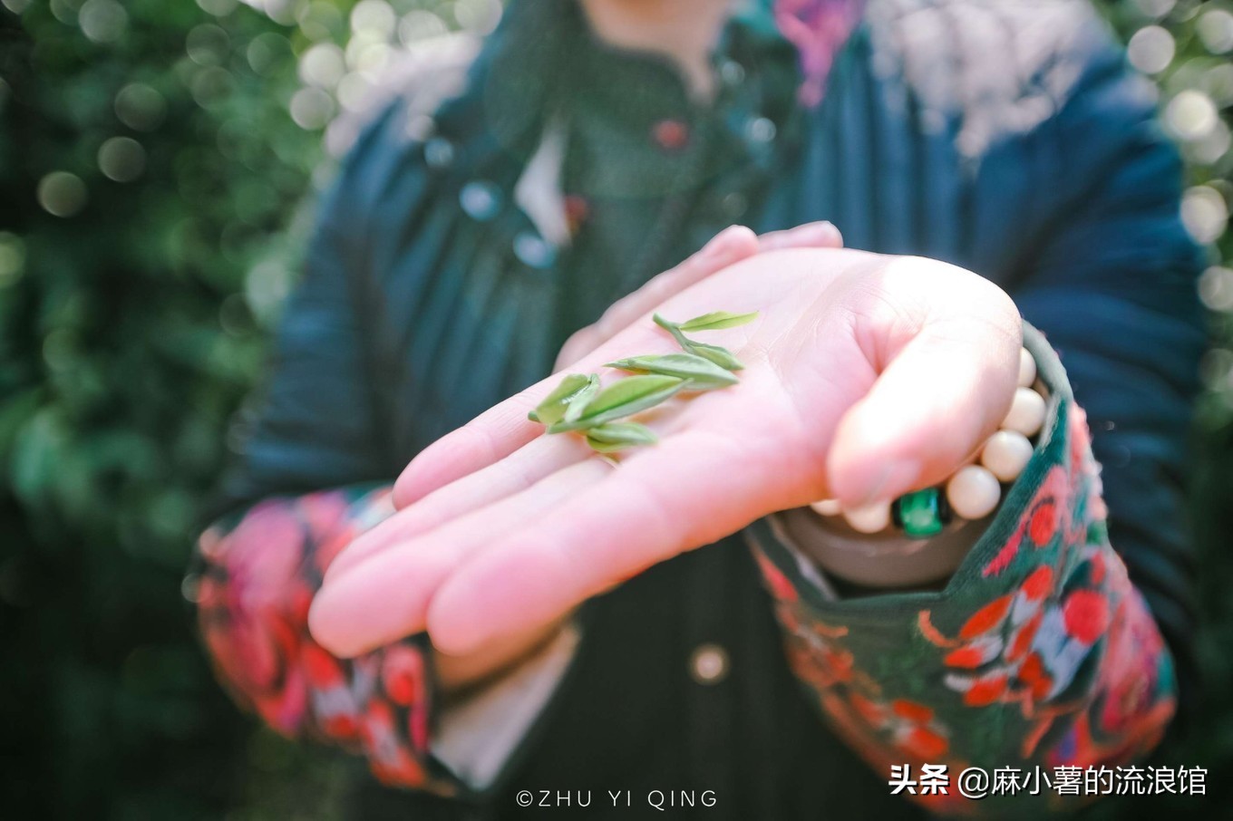 最早的抹茶是什么茶做的,日本抹茶源于中国唐宋的点茶法