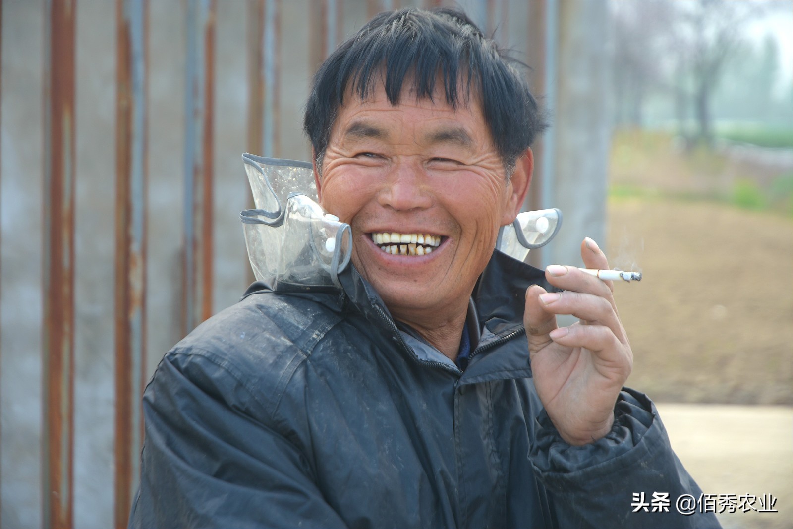 养殖20头毛驴利润,农民种植养殖年挣20万