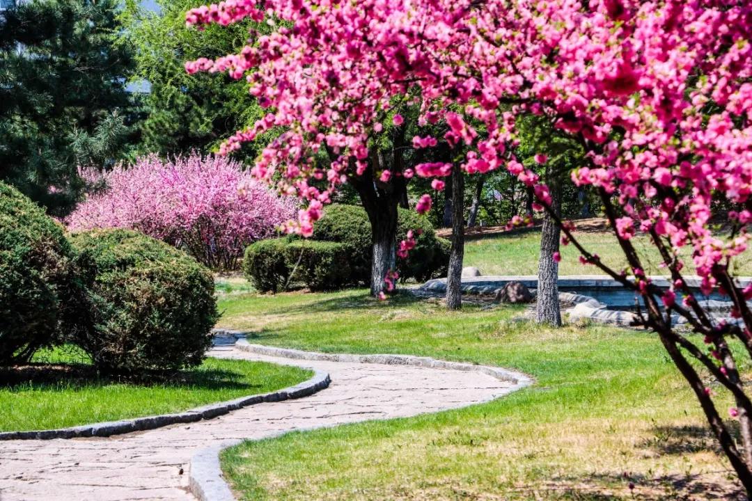 延边大学2020级新生开始报到,延边大学让家长送大一新生进学校