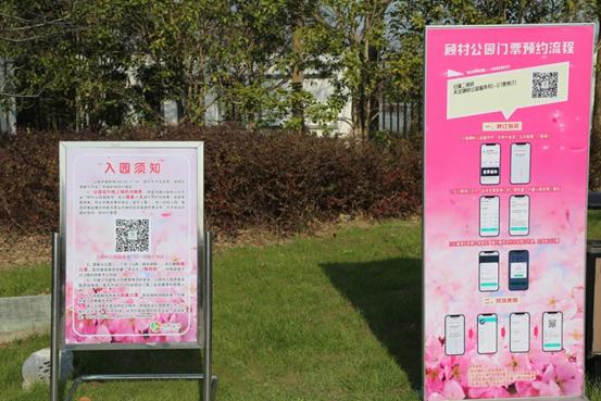 春天必打卡的樱花胜地顾村公园,顾村公园樱花照片视频