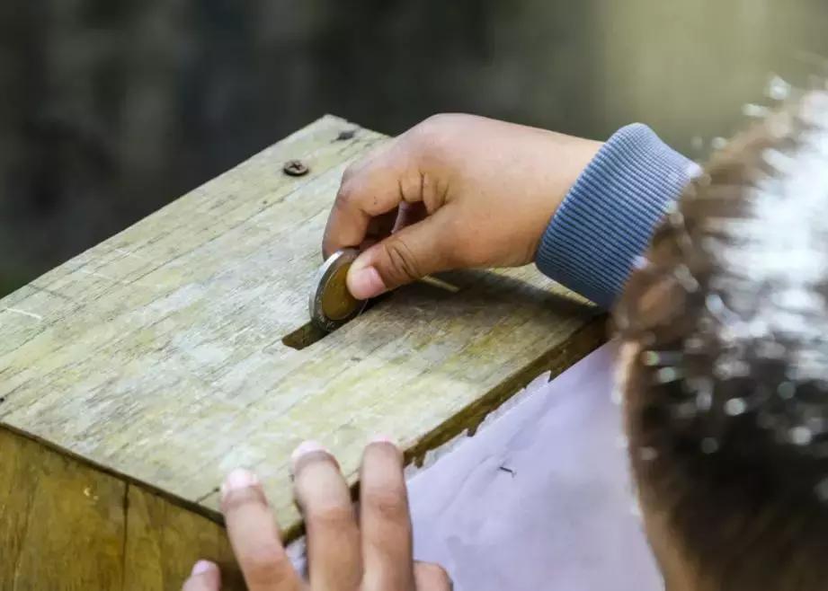 用绿色行动共建美丽家园ppt,用生态行动共建我们的绿色家园