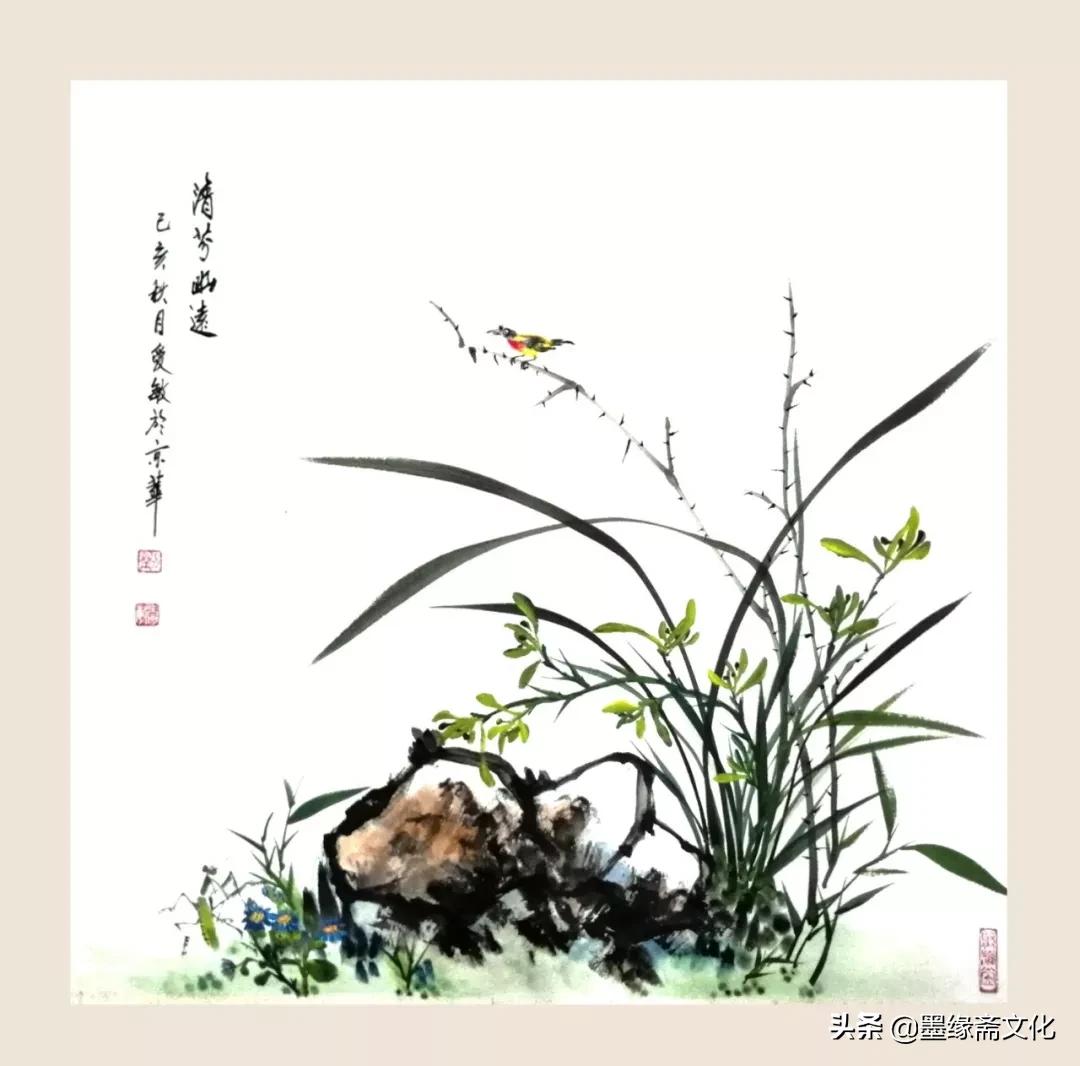 刘忠陵兰花作品欣赏,写实画兰草作品欣赏