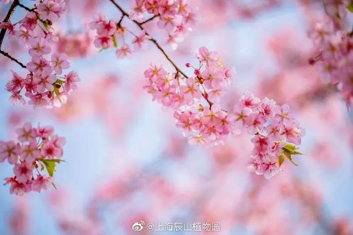 所有女生!各大品牌的春季眼影盘来咯