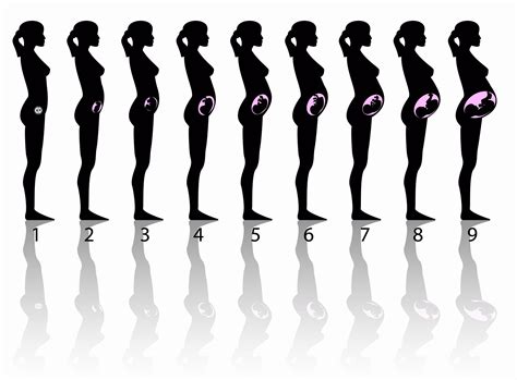 孕中期训练动作,孕中期常见问题及保健指导