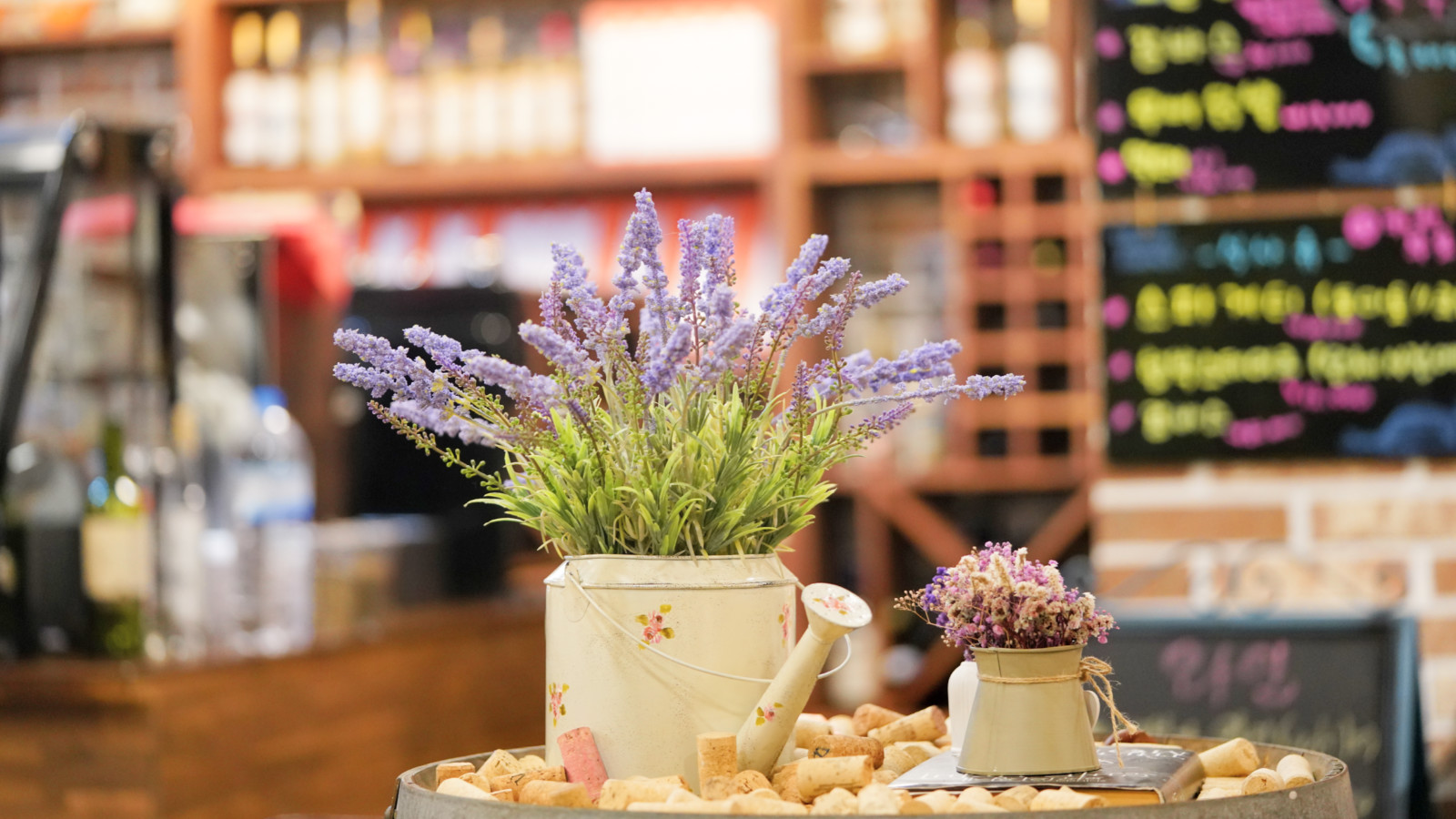 挖人参、做丹药、住转运古宅，想不到的韩国深山秘境游