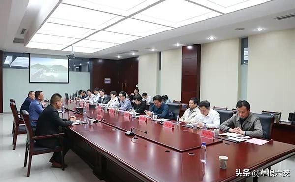 安徽六安有没有赚钱项目,六安新型创业项目