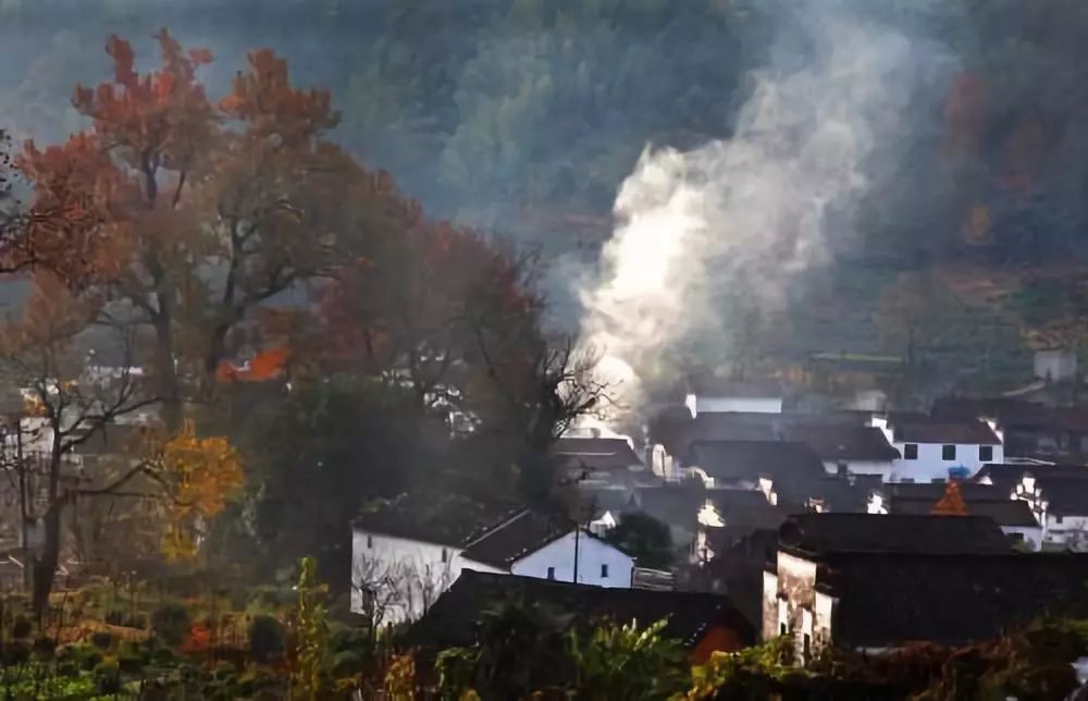 故乡让我很惶恐,故乡显得难以融入难以割舍