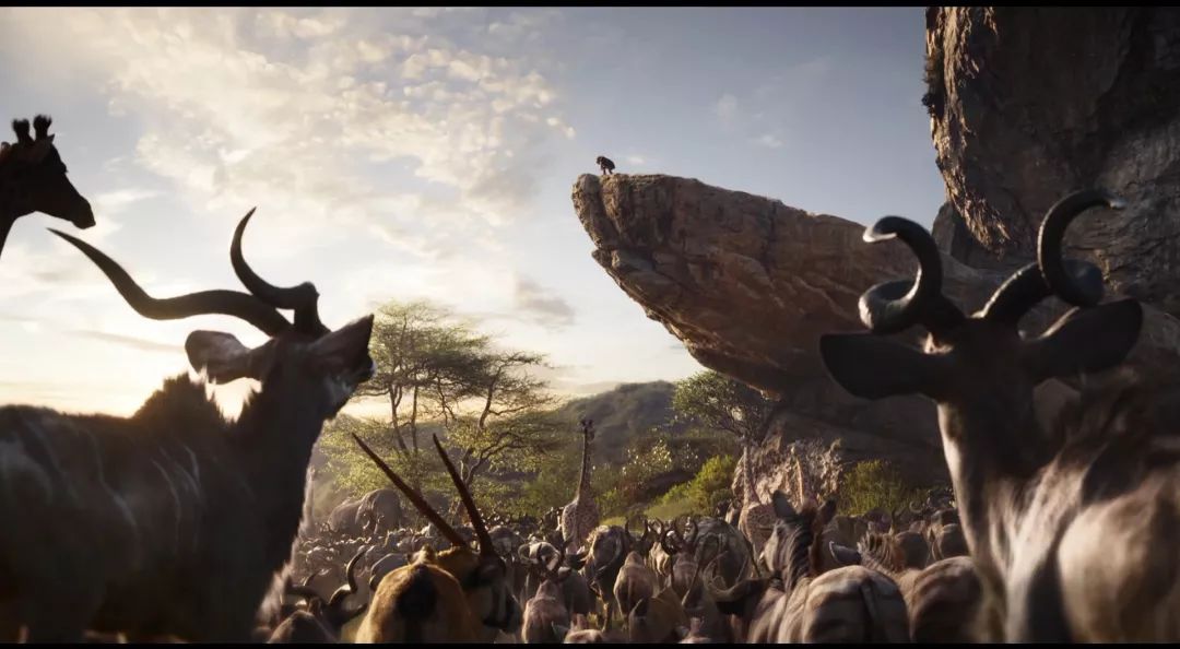 电影狮子王1994年,电影狮子王辛巴