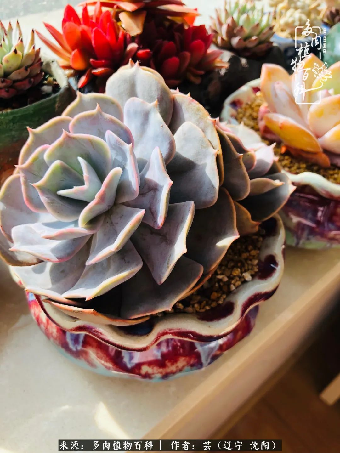 万物皆有灵性有因必有果,万物皆有灵性与生命