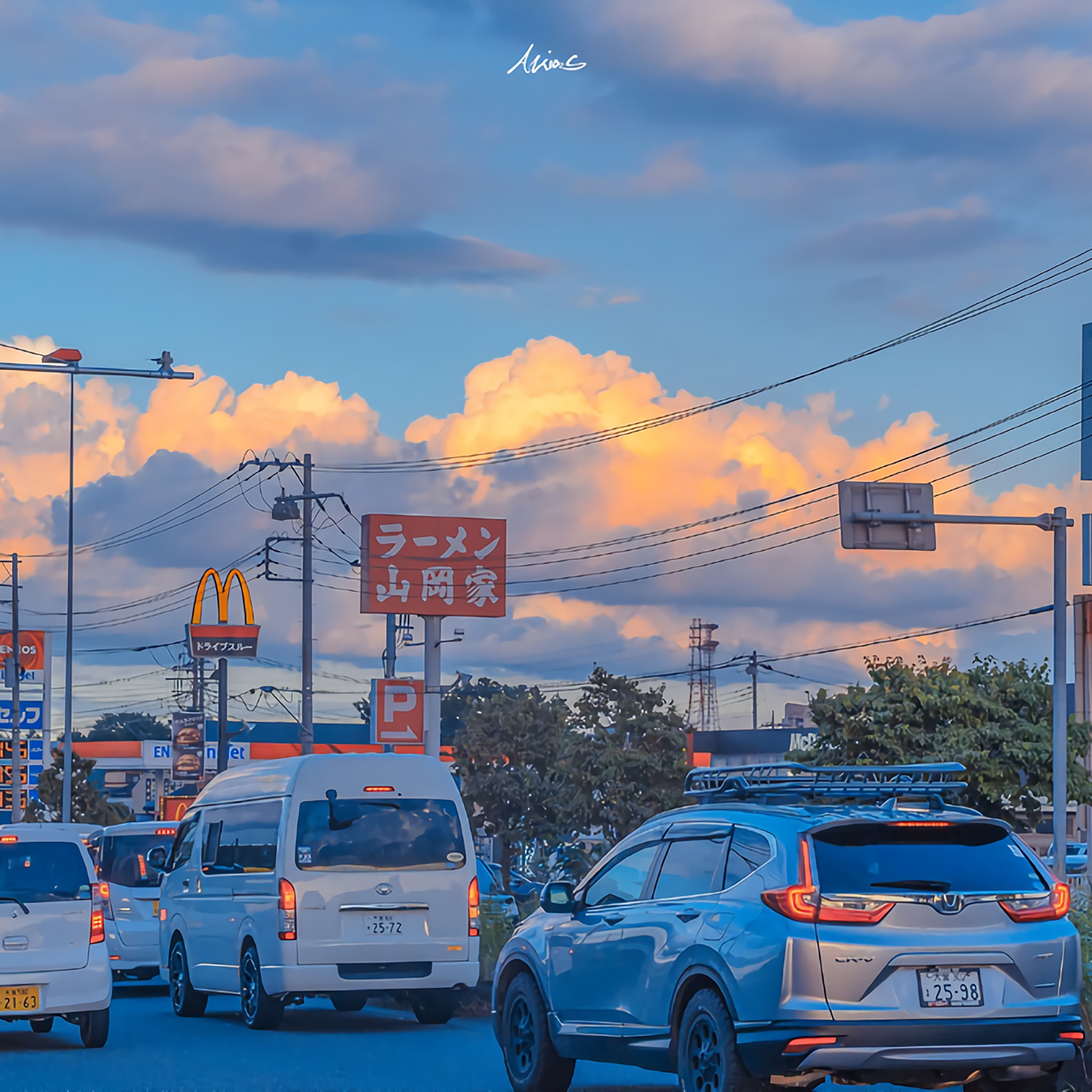 智者不入爱河无情终将上岸壁纸,ipad高清壁纸图片全屏