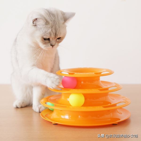 猫咪最爱的7款玩具,猫咪玩具排行榜前十名