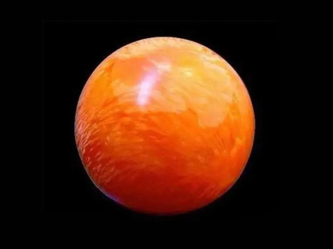 砗磲圆珍珠,贝壳珠和砗磲珠有什么区别