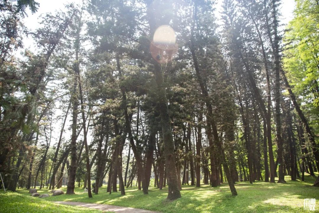 300+万㎡原始森林秘境，天河就有