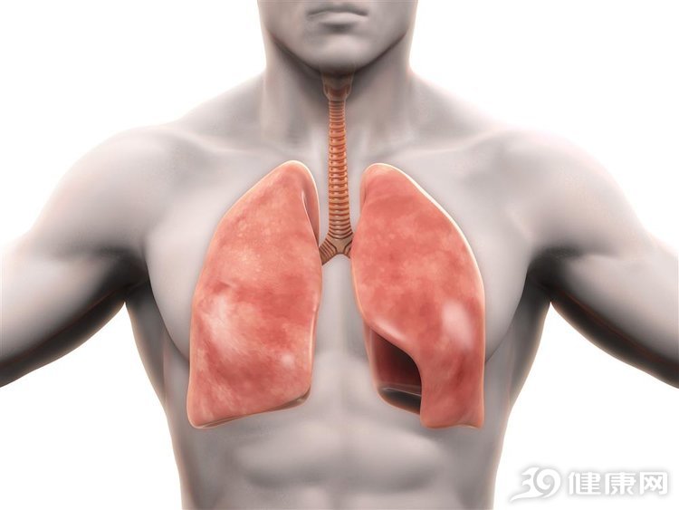 多吃猪血能清肺里的灰尘吗,什么猪血清肺养肺最好