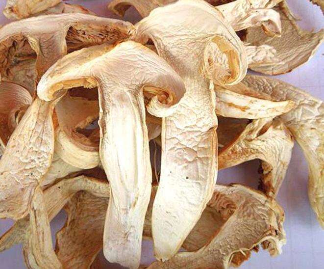 新鲜松茸菇的清洗方法,松茸表面黑色需要清洗