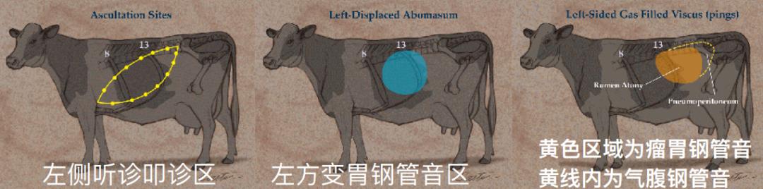 韩铁柱：新产牛疾病防治