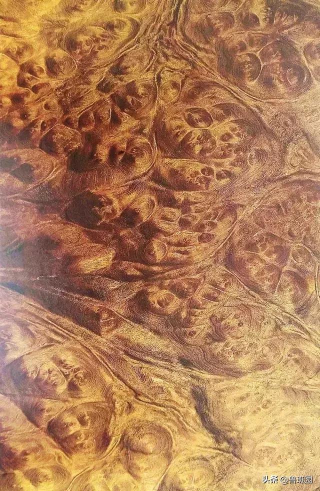 天然木皮源于大自然的美感,天然木皮的美