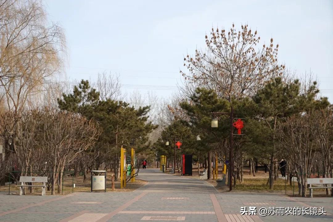 京城闹市寻幽（89）：春节假期中萧瑟的古塔公园