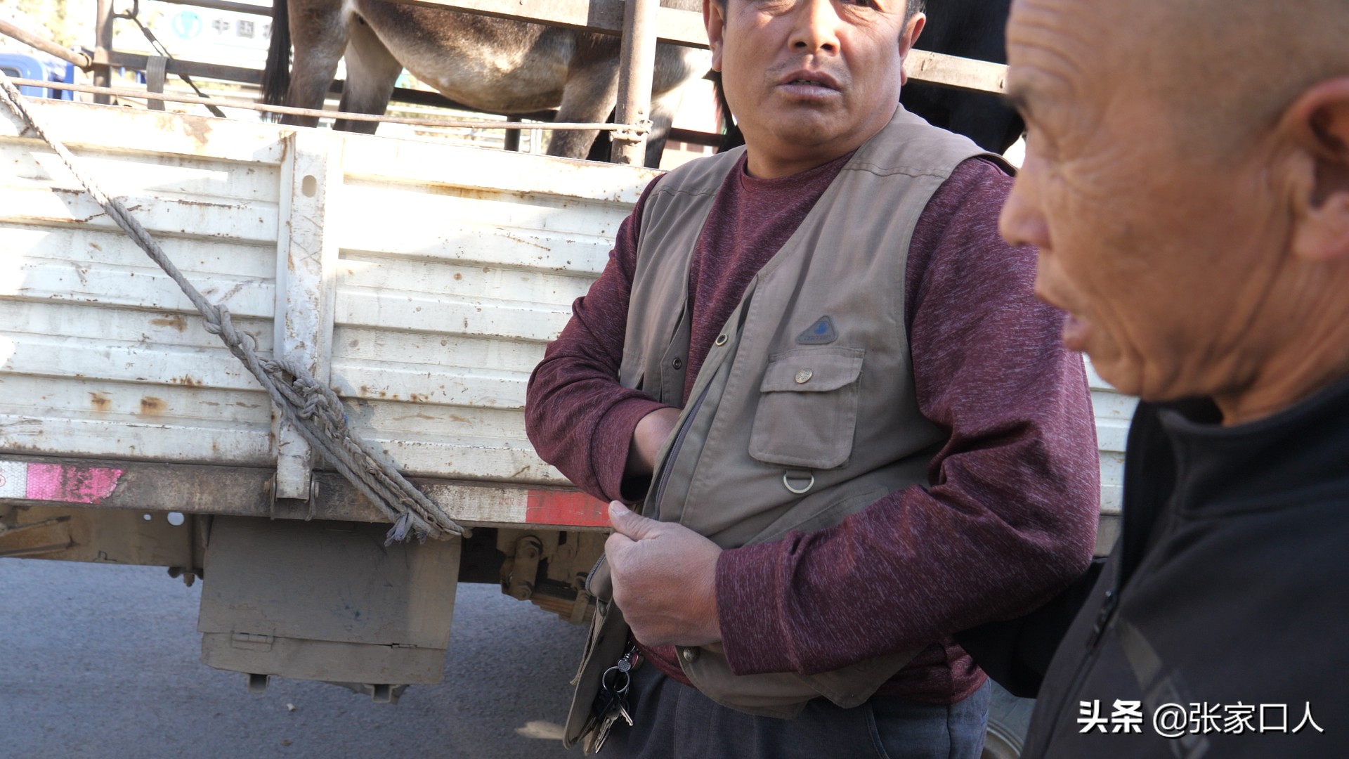 牙纪是古老的行业，在张北牲畜交易中心年轻人都在干，什么原因？