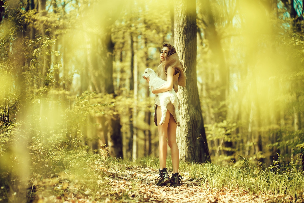 后宫佳丽三千妃子,后宫三千佳丽有多少人