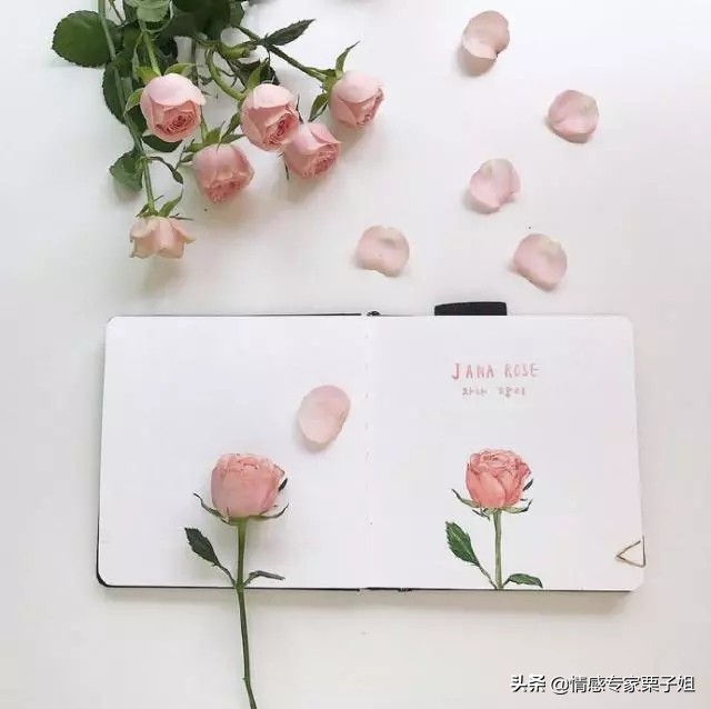 情感咨询|栗子姐每日情感问答(0731)