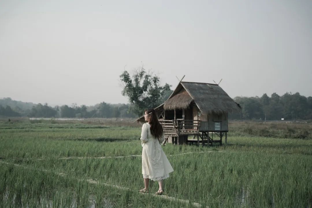 520情人节遇见你真好,520情人节与你相见