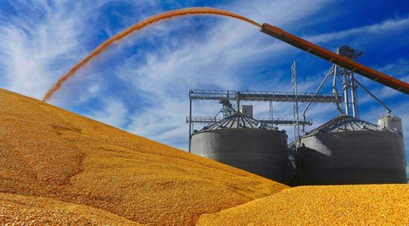 四大粮商垄断全球粮商交易,垄断全球的四大粮食商