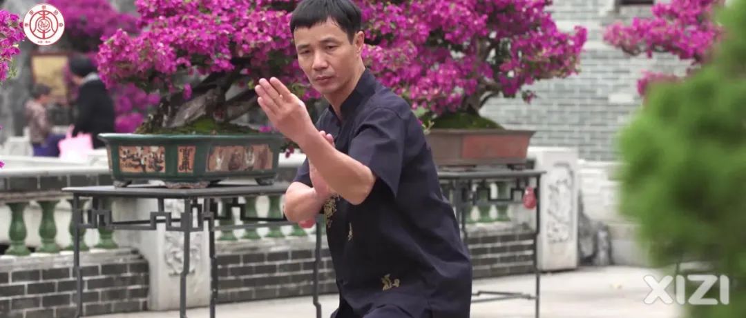 美丽鹅城,最美鹅城