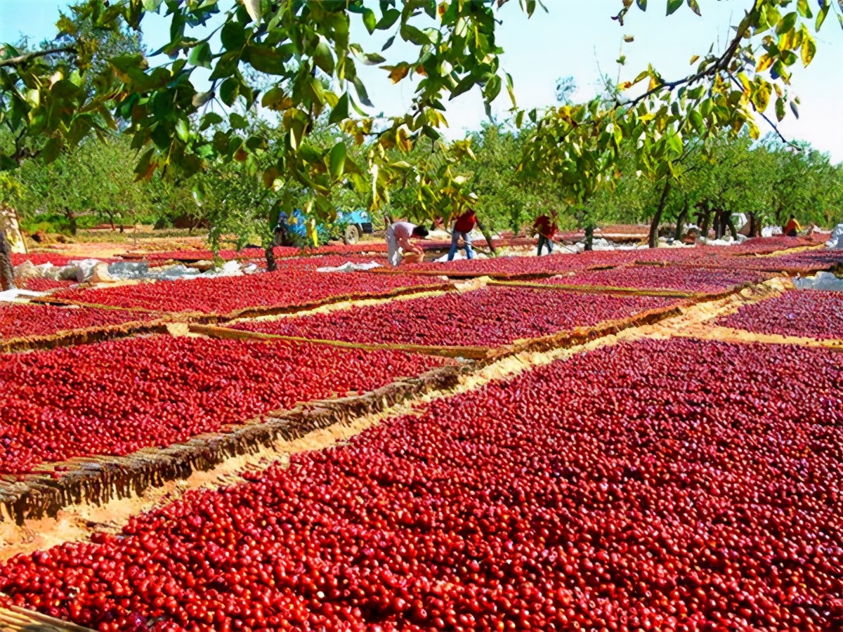 怎么才能把红枣清洗干净,如何快速去除红枣核不用工具