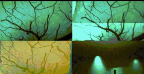 微信美国最新消息,微信在美国最新消息