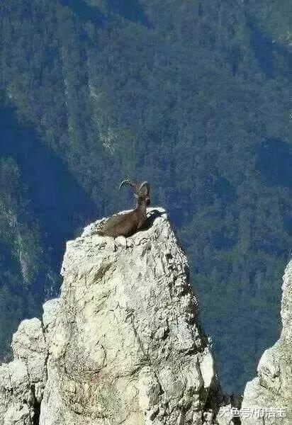 50张世界级照片赶快来看,壮观40张顶级照片