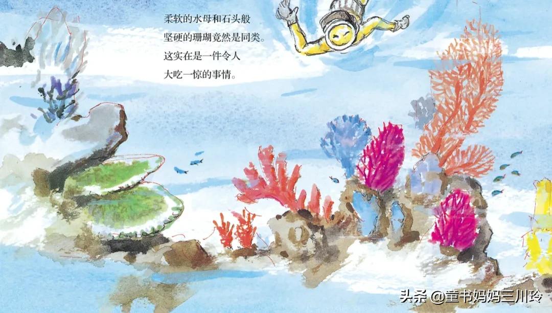 鏃ユ湰绉戝涔嬬埗,鏃ユ湰绉戝缁樻湰