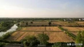 浙江孔庙调查|茅盾故里钩沉:桐乡拆儒宫取良材换钢材造大会堂