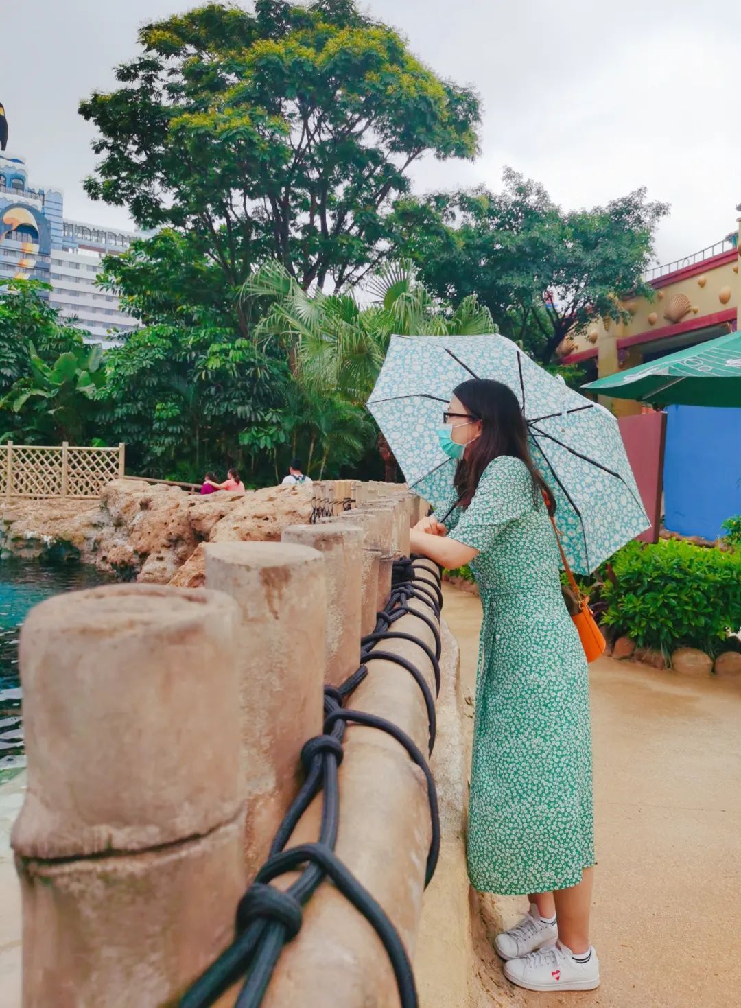 横琴奏一曲：瑜家的温馨丨初夏.珠海后花园畅游记