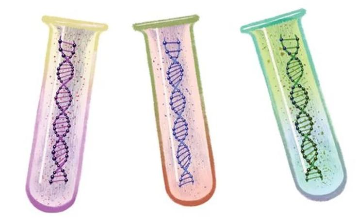 怕球员遭遇赛季报销？基因检测安排